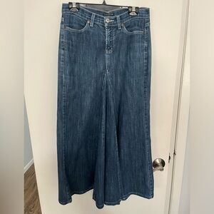 Long Jean skirt